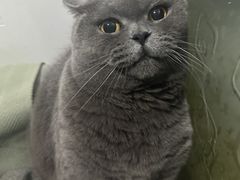 -PETKIT 小佩宠物·低压洗护·美容·寄养(安远店)