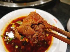 -冯记香辣兔火锅(茶店子总店)