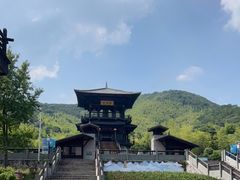 -大唐贡茶院