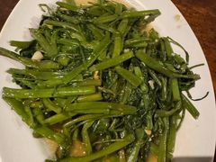 -绿光森林餐厅