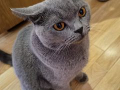 -壹人壹像工作室(购物公园店)