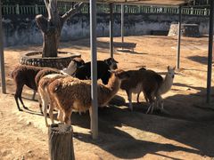 -西安秦岭野生动物园