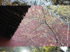 -钱王祠