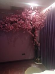 -琦品高端美容SPA会所