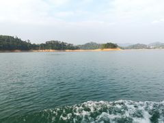 -广州市流溪河国家森林公园