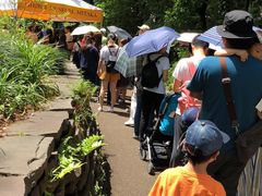 -三鹰之森吉卜力美术馆