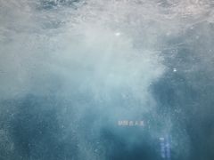 -福州罗源湾海洋世界旅游区