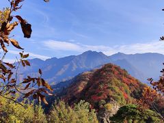 -秦岭终南山世界地质公园翠华山景区