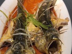 -前海沿·青岛菜(五四广场永旺店)