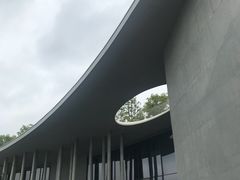 -侵华日军南京大屠杀遇难同胞纪念馆