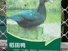 -丹樱生态园