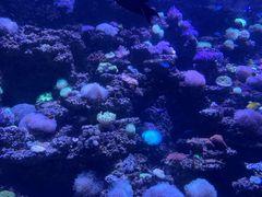 -太平洋海底世界