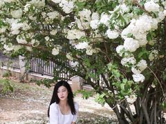 -堤角公园