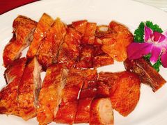 吊烧琵琶鸭-新宝城海鲜坊(大浪店)