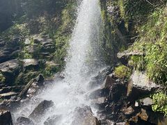 -石台牯牛降景区
