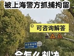 -上海诚本律师事务所·刑事辩护团队