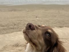 -南澳海滩