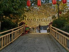 -望湖烤鱼