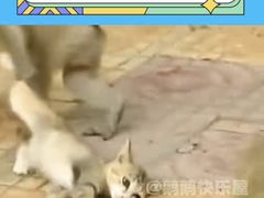 -昆明动物园