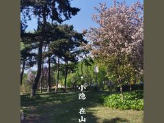 -长春市南湖公园