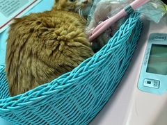 -纳吉亚猫专科动物医院博雅分院