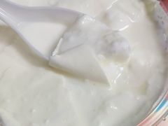 -艾力江和田馕坑烤肉店