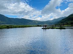 -腾冲北海湿地