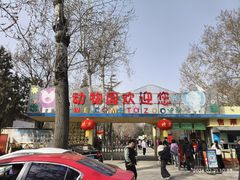 -保定市动物园