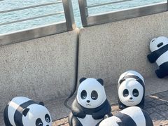 -星光大道