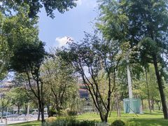 -后襄河公园