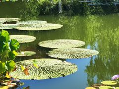 -国家植物园南园