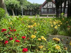 -太阳岛度假酒店