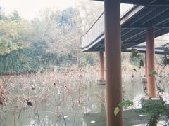 -白鹭湾湿地公园