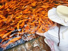 -楠溪江风景名胜区