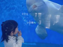 -泉城欧乐堡海洋极地世界