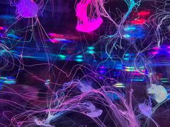 -正佳极地海洋世界