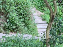 -阳台山森林公园
