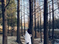 -白水寺森林公园