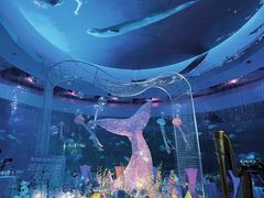 -海合安青岛极地海洋公园