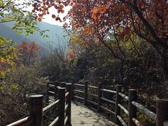 -黄花溪