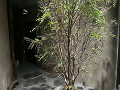 -森SPA·泰式按摩·精油Massage(宝安中心店)