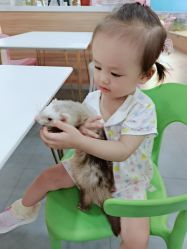 -Moni星球萌宠·小马宝莉·灵蛇·高端高阶全萌宠互动体验俱乐部(红豆国际广场店)