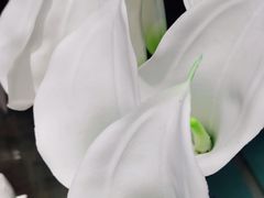 -福奈特洗衣·洗鞋·奢侈品护理(虬江路店)