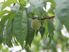 -南京金牛湖风景区