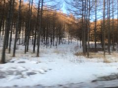 -塞罕坝国家级自然保护区