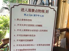 -大树秋千