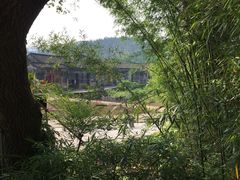 -苏家围·东江画廊旅游景区