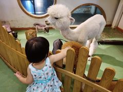 -藦茜花园宠物主题亲子互动体验馆(国顺东路店)