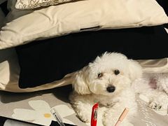 -中天钢铁体育馆(南一门店)