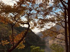 -广州市石门国家森林公园